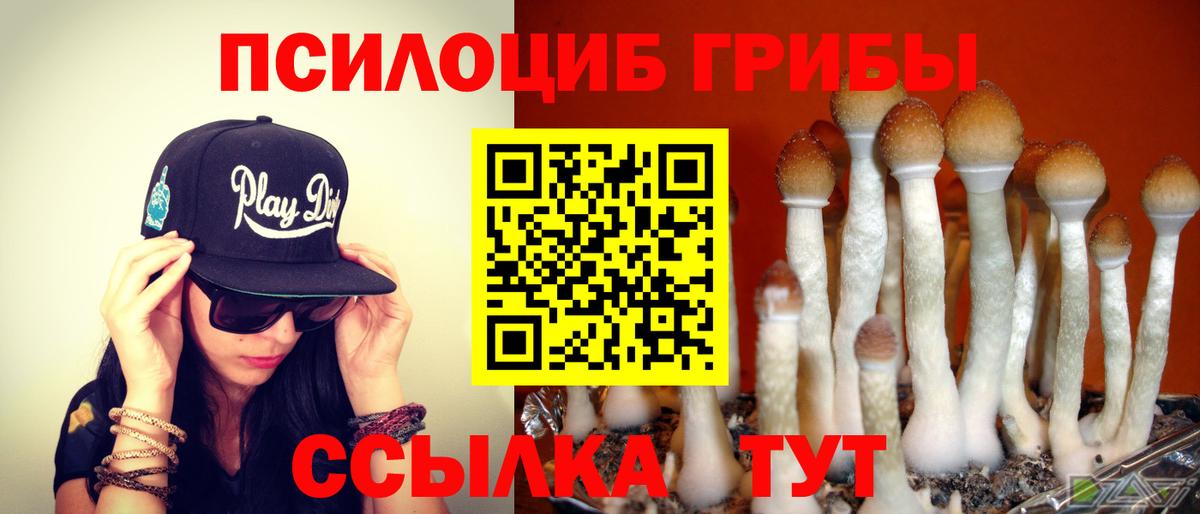 Галлюциногенные грибы прущие грибы Тавда